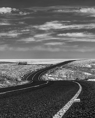 DSC_5008-1.1