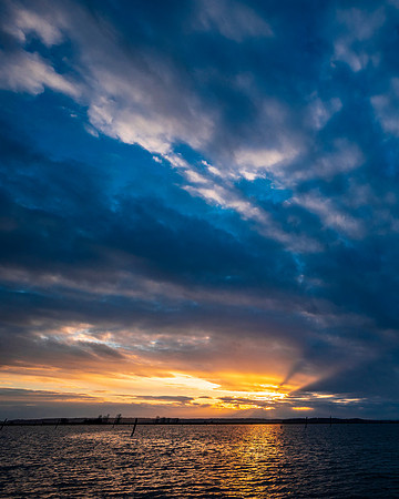 DSC_7972-1