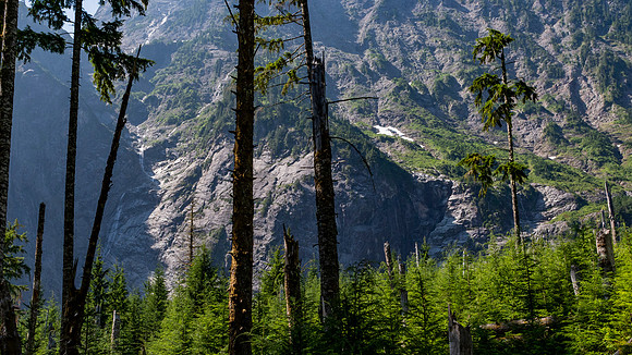 Big Four Mountain Through The Forest