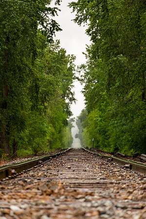 A Cut Through The Trees