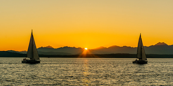 Sailboats On Elliott Bay