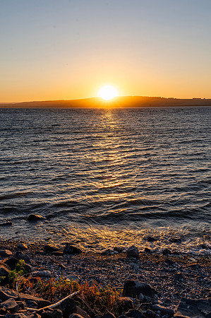 DSC_4546-1.1