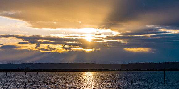 DSC_7967-1