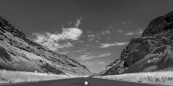 DSC_5034-1.1