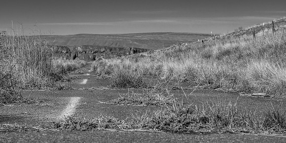 DSC_4074-1