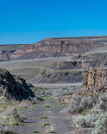 DSC_4101-1