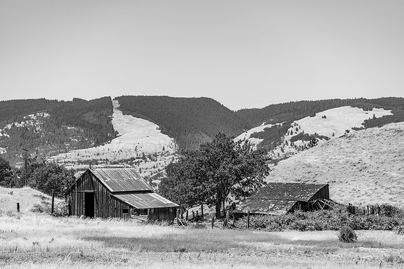 DSC_4494-1.1