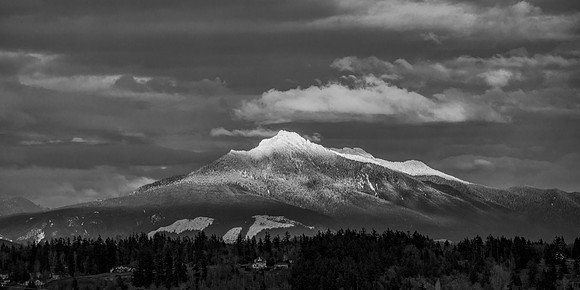 DSC_7849-1
