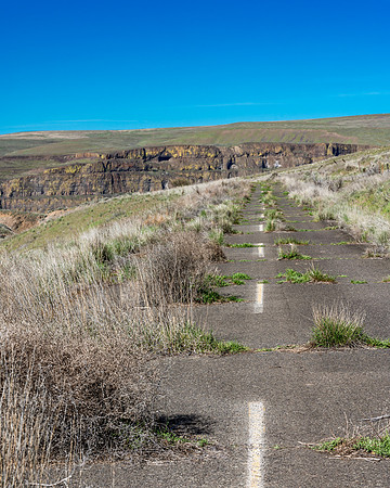 DSC_4080-1