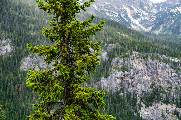 Washington Pass