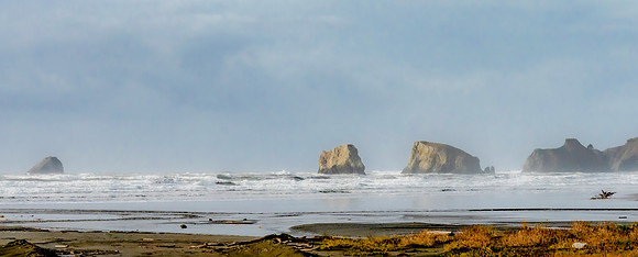 DSC_3467-1