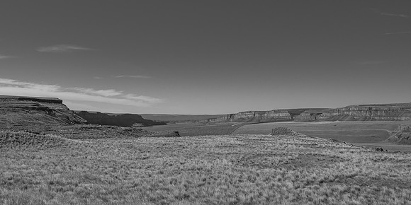 DSC_4098-1