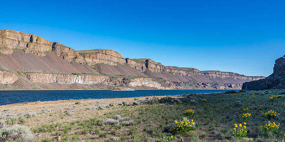 DSC_3983-1